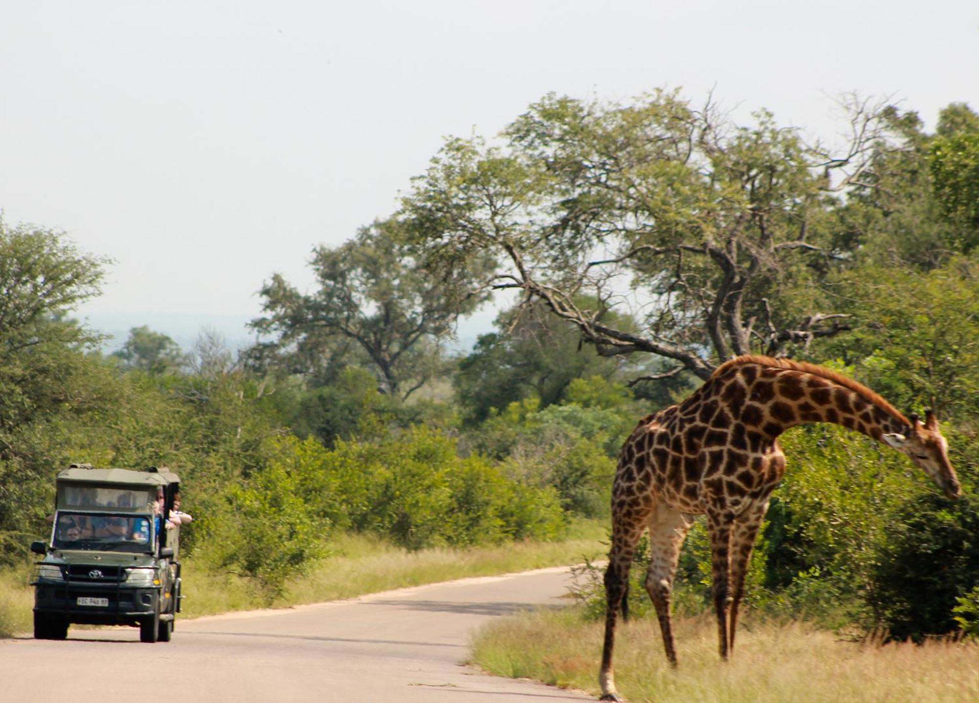 Aha Skukuza Safari Lodge מראה חיצוני תמונה